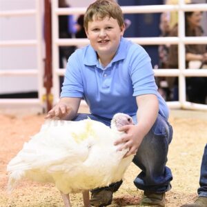 Junior Market Poultry Champions Announced at The Houston Livestock Show And Rodeo™