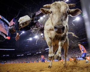 Super Series II Competitors Brought the Heat at RODEOHOUSTON®