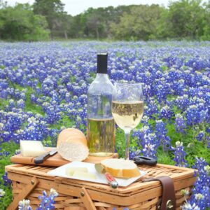 Texas Wines Highlighted at Rodeo