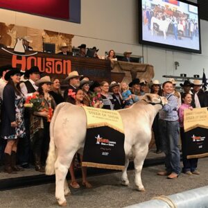 Houston Livestock Show and Rodeo™ Junior Market Steer Buyers Generously Invest in the Future