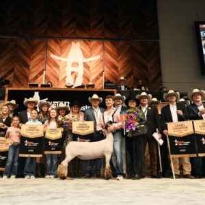 2023 Buyers Set a Rodeo Record at the Houston Livestock Show & Rodeo™ Junior Market Lamb and Goat Auction