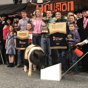 Generous Buyers Submit Record-Breaking Bids at the 2017 Houston Livestock Show and Rodeo™ Junior Market Barrow Auction