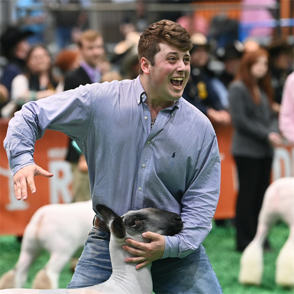2023 The Houston Livestock Show & Rodeo™ Market Lamb and Goat Champion Selection