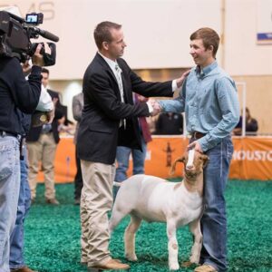 Dreams Become Reality at the 2017 Houston Livestock Show and Rodeo™ Junior Market Lamb and Goat Show: Championship Selection