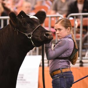 Champions Crowned at Houston Livestock Show and Rodeo™ Junior Breeding Beef Heifer Show