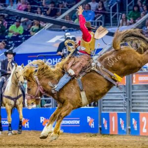 Houston Livestock Show and Rodeo and the Professional Rodeo Cowboys Association Announce Multi-year Partnership