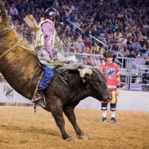 Semifinal Winners Earn One-way Tickets to the RODEOHOUSTON® Super Series Championship