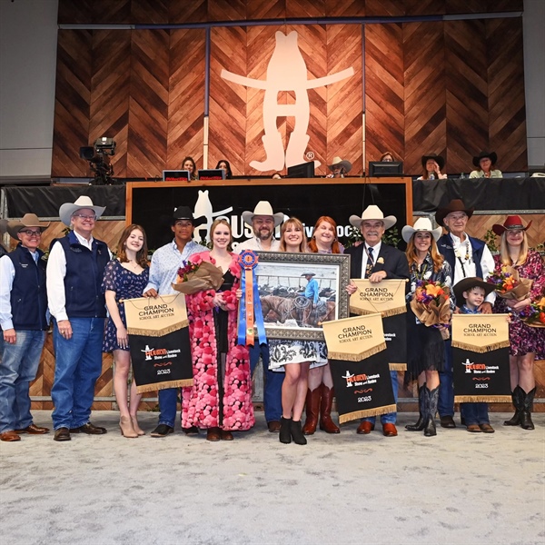 2023 Exhibitors Show Off Their Talents at the Houston Livestock Show and Rodeo™ School Art Auction