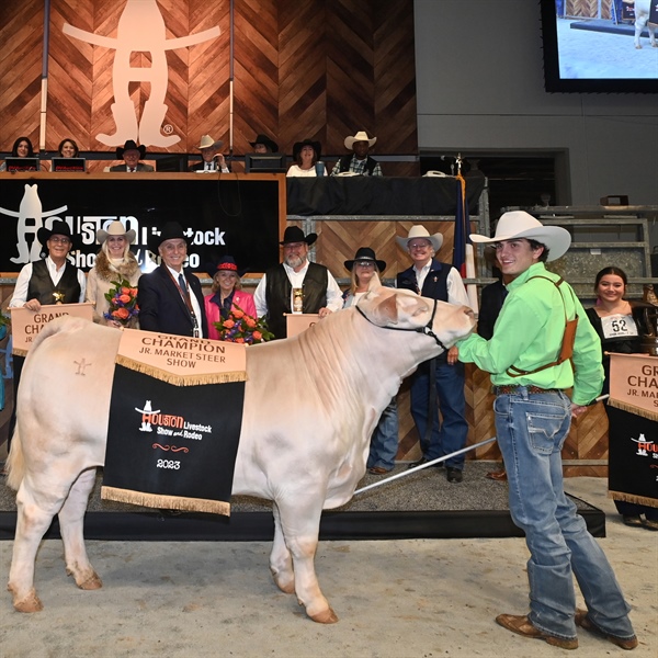 Bids Flew as the 2023 Grand and Reserve Grand Champion Junior Market Steers Sold at the Houston Livestock Show And Rodeo