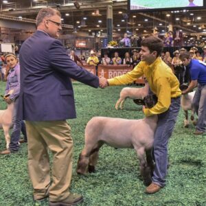 Houston Livestock Show and Rodeo Awards Nearly $2.7 Million in Additional Premiums to more than 1,900 Junior Market Exhibitors