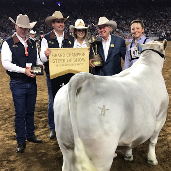 Top Steers Take Center Stage in NRG Stadium at 2017 Houston Livestock Show and Rodeo™ Junior Market Champion Steer Selection