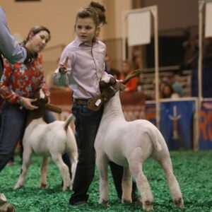 A Family Affair at the 2018 Houston Livestock Show and Rodeo™ Junior Market Lamb and Goat Show Championship Selection