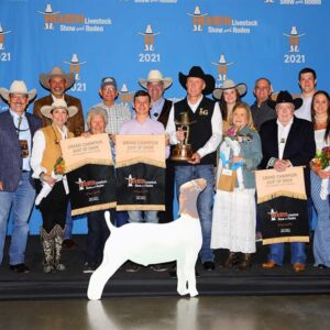 2021 Rodeo Auctions Wrap!