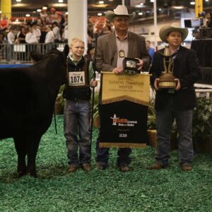 Continental Breeds Rose to the top in the 2018 Houston Livestock Show and Rodeo™ Supreme Champion Heifer Drive