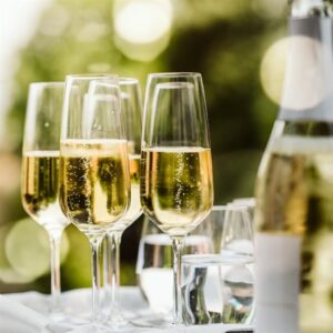 Bring on the Bubbly: A Guide to the Best Sparkling Wines for any Occasion