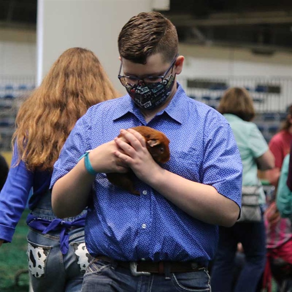 Students Compete in 2021 Youth Cavy and Breeding Rabbit Show