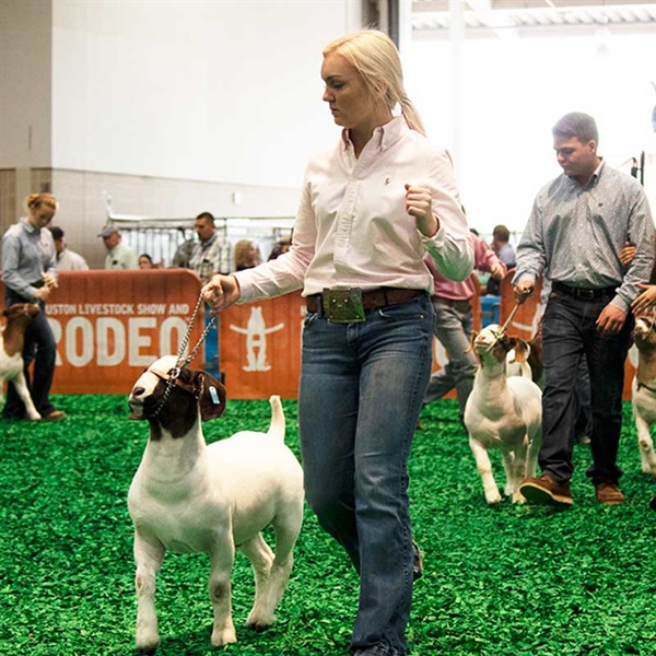 Houston Livestock Show and Rodeo Announces Plans for 2021 Livestock Show