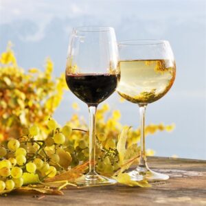 The Best Ways to Take Wine on the Go