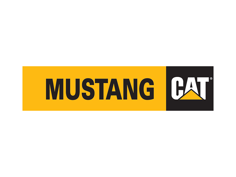 Mustang Cat