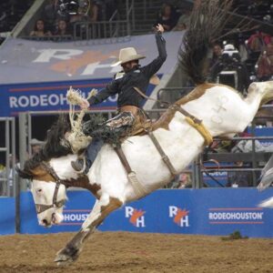 Super Series Semifinal 2 Determines Second Round of Athletes Advancing to RODEOHOUSTON® Super Series Championship