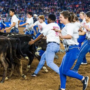 Rodeo Announces New Calf Scramble Event for 2022