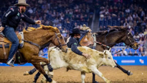 5 Things You Need to Know About the Rodeo 2023