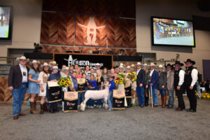 Donors set four world records at the Houston Livestock Show & Rodeo™  Junior Market Lamb and Goat Auction