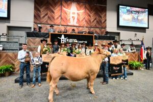 2024 Houston Livestock Show And Rodeo™ Junior Market Steer Auction Results