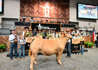 2024 Houston Livestock Show And Rodeo™ Junior Market Steer Auction Results