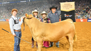 2024 Grand Champions Selected at Junior Market Steer Show