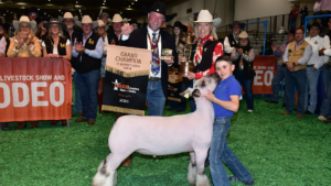 The Houston Livestock Show & Rodeo™ Junior Market Lamb and Goat Champion Selection