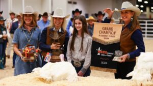 2024 Grand Champions Selected at the Houston Livestock Show & Rodeo™ Junior Market Poultry Show