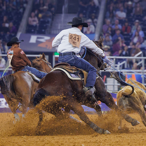 About Us | Houston Livestock Show and Rodeo