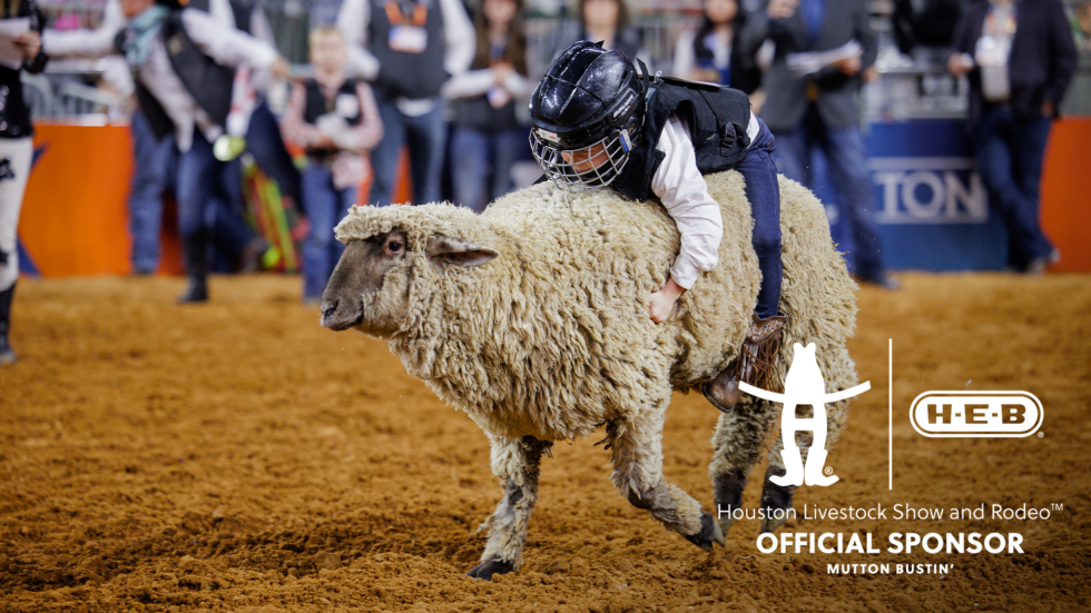 Rodeo welcomes H-E-B back as Mutton Bustin’ sponsor | Houston Livestock ...