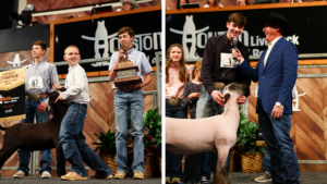 Records Made at the Rodeo Junior Market Lamb & Goat Auction