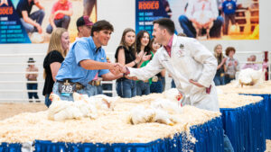 Flocking to Victory at the Junior Market Poultry Show