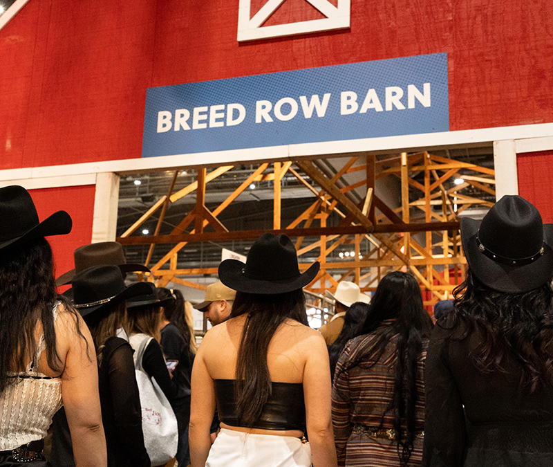 Breed Row Barn