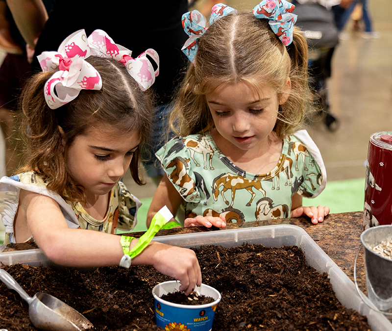 Horticulture Exhibit