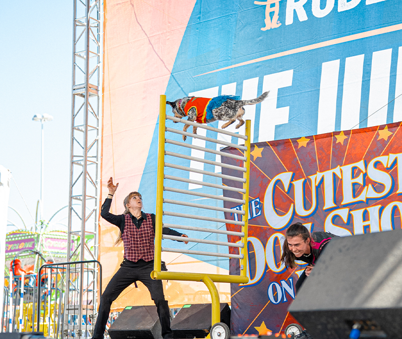 The Junction Stage