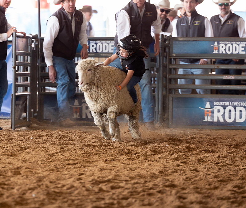 Mutton Bustin’