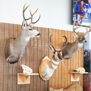 Ranching & Wildlife Expo