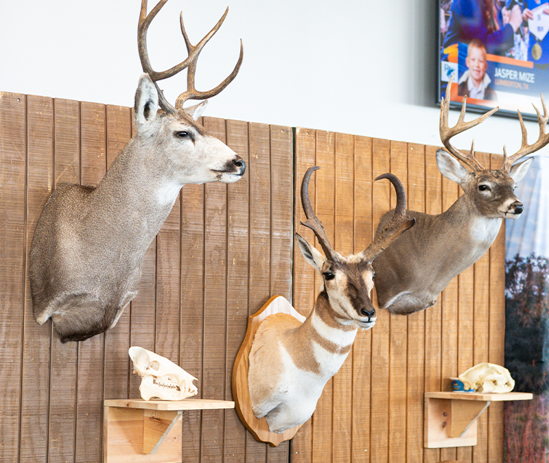 Ranching & Wildlife Expo