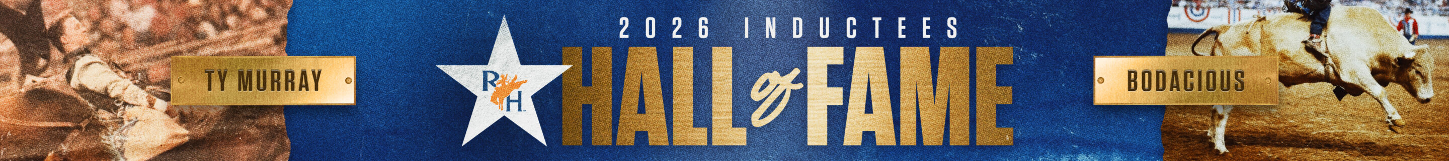 Web Banners_4667x520