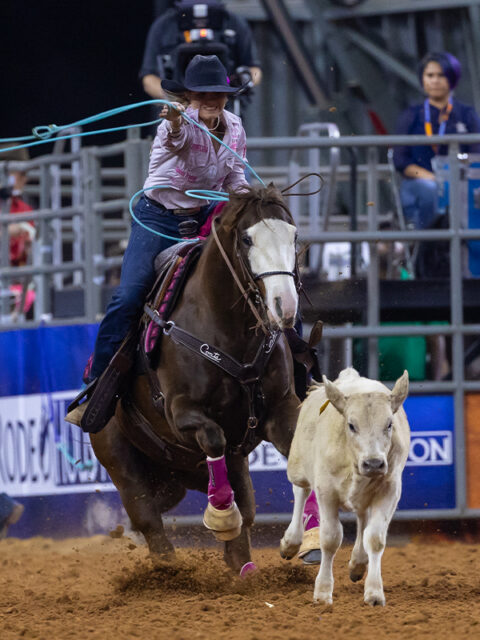 RODEOHOUSTON Champions | Houston Livestock Show and Rodeo