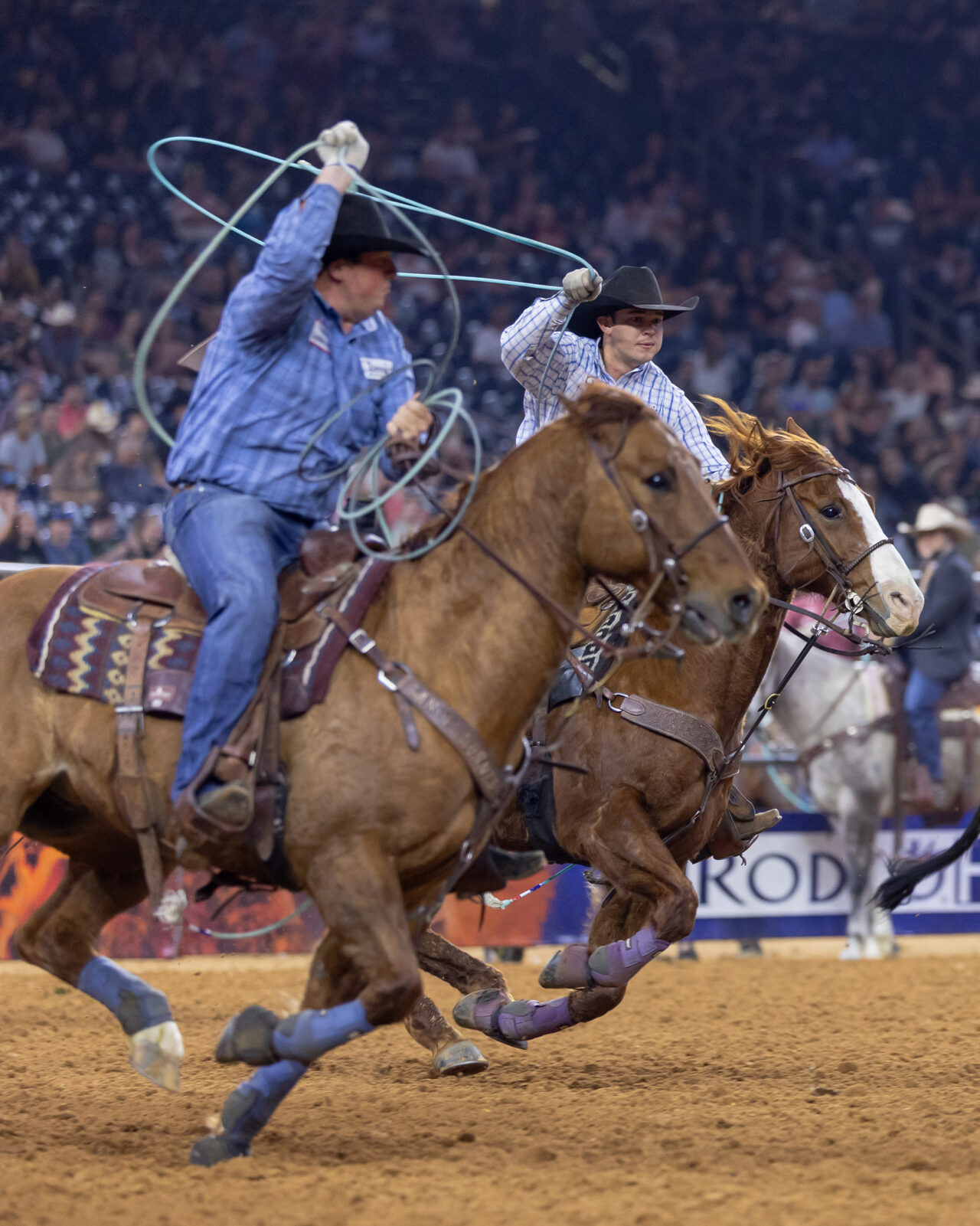 RODEOHOUSTON Champions | Houston Livestock Show and Rodeo