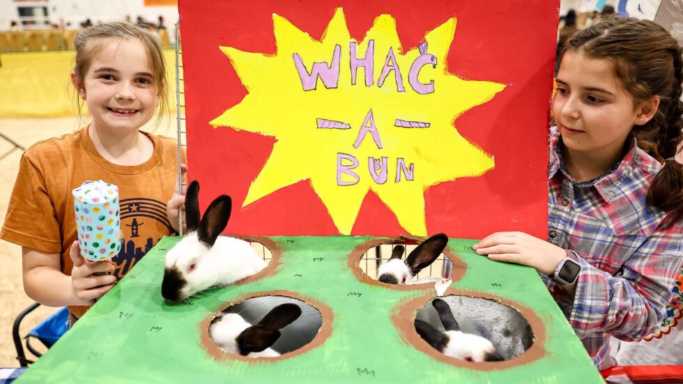 Bunnies Dressed to Impress: Youth Breeding Rabbit and Cavy Costume ...