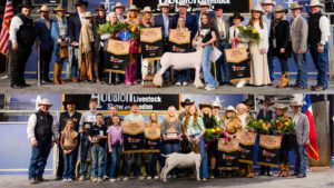 Grand Champion Lamb Sells for Historic $1 Million at Houston Livestock Show and Rodeo™ Auction