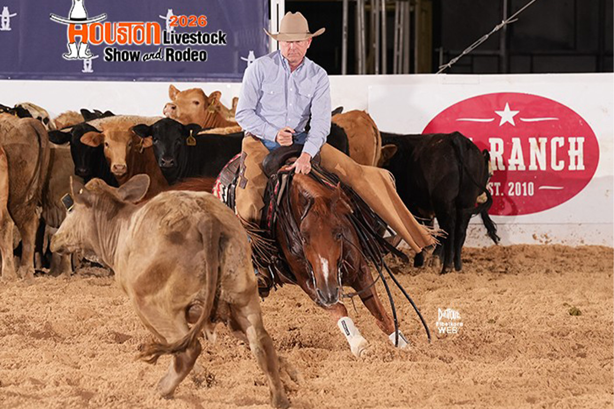 Sinor competing in a 2026 cutting horse competition