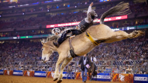 More Than a Hat and a Horse: Celebrating National Day of the Cowboy