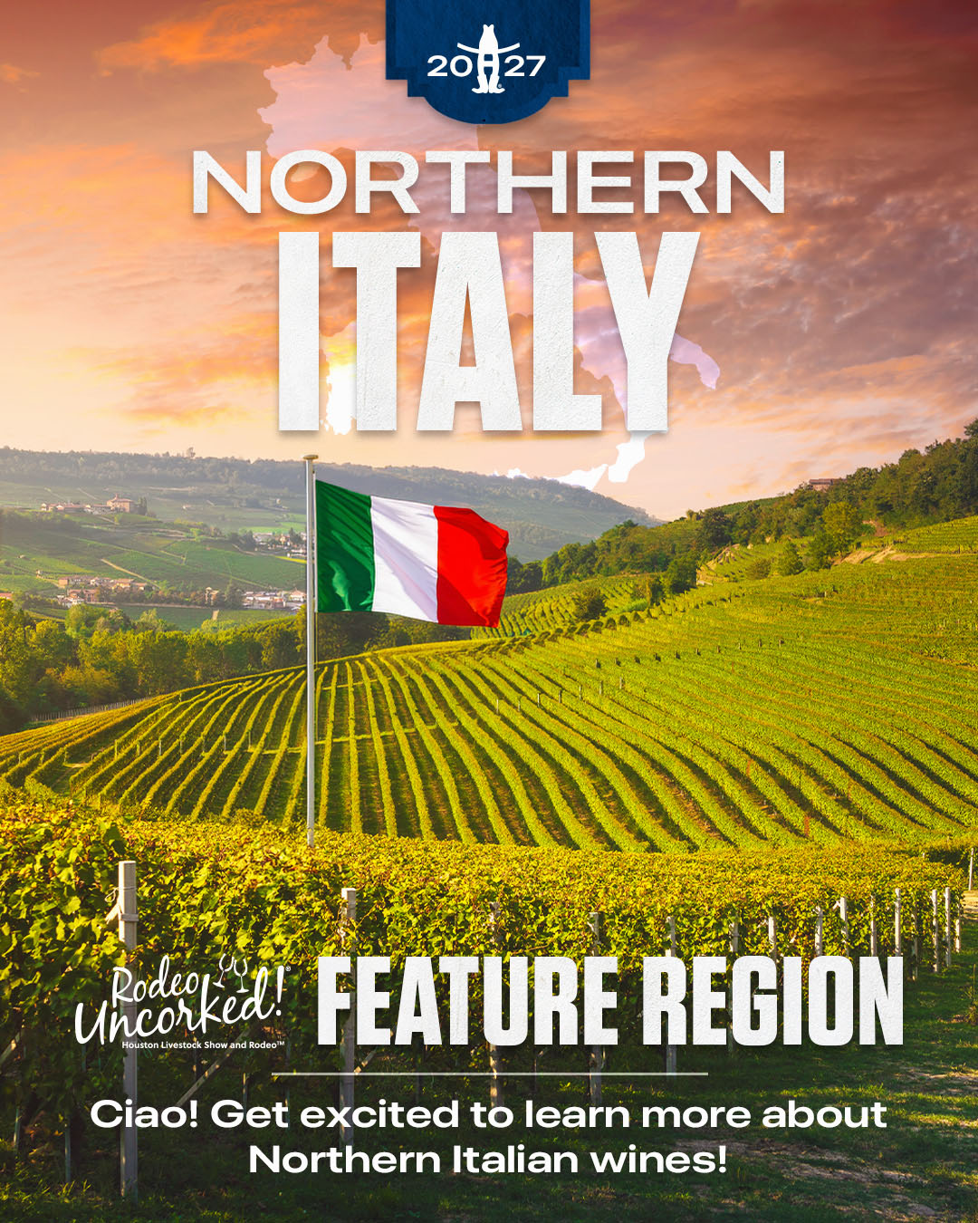 Promotional poster for Northern Italy wines featuring a sunset vineyard with an Italian flag and bold text 'Northern Italy' and 'Feature Region'.